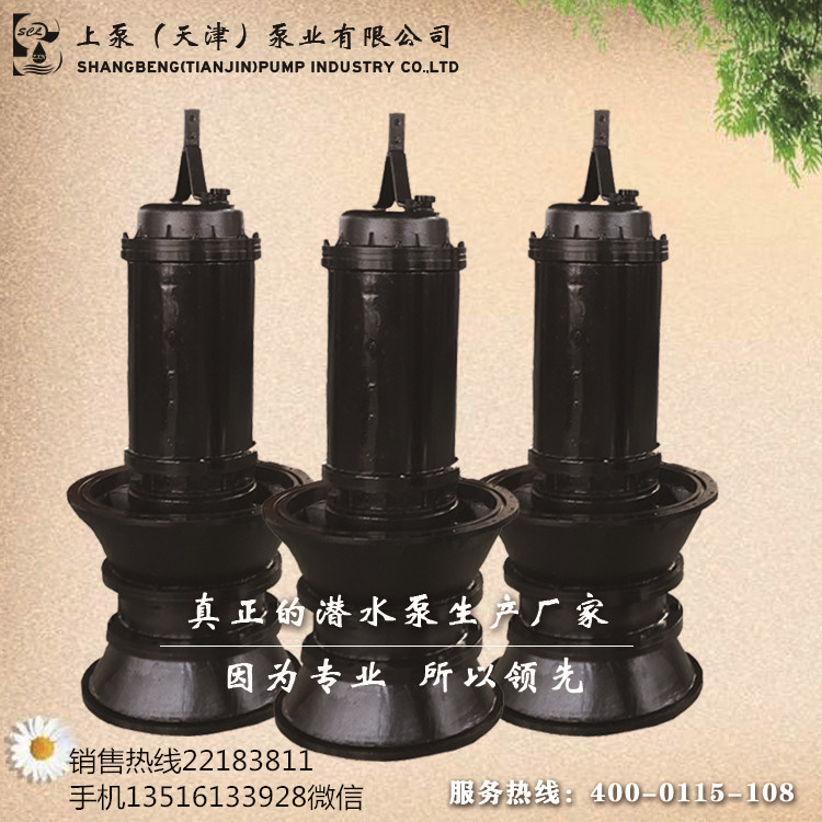 陜西榆林葉片全調節式潛水軸流泵