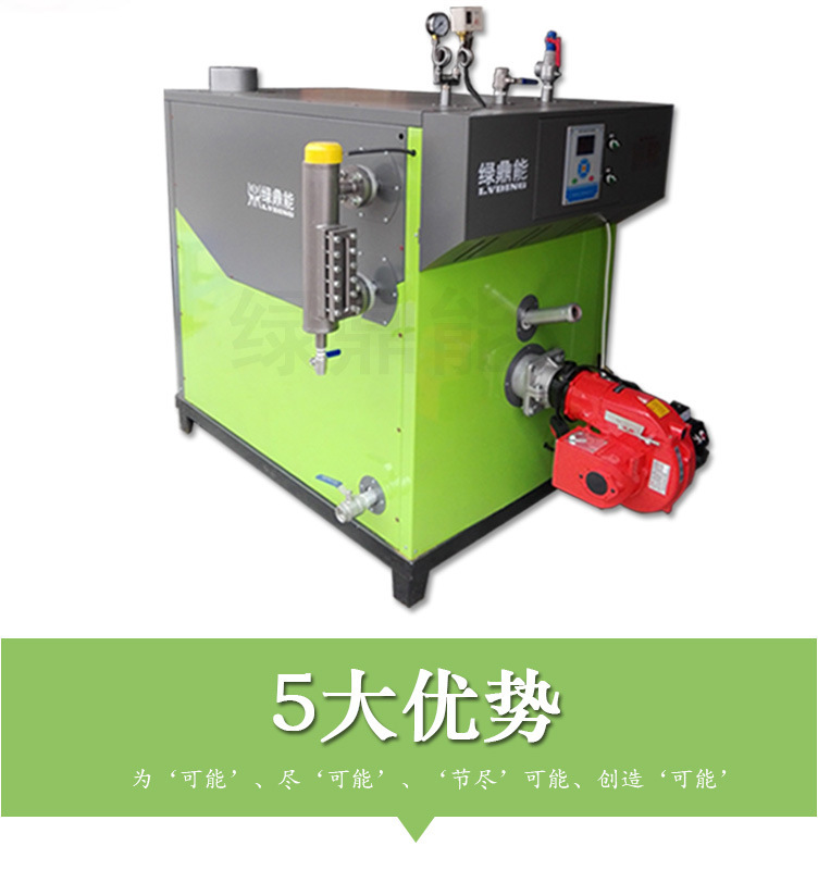 (綠)300kg燃油燃氣蒸汽發生器詳情頁(綠鼎能源)2017
