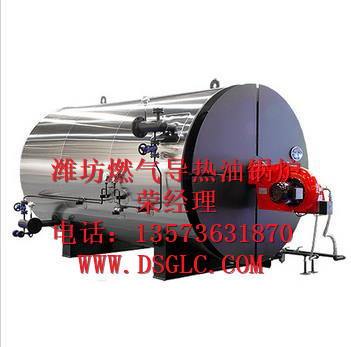 山東濰坊青州市燃油氣導熱油鍋爐