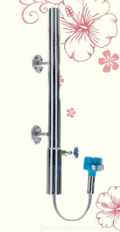 CR-6033經濟型小鍋爐首選智能鍋爐液位計