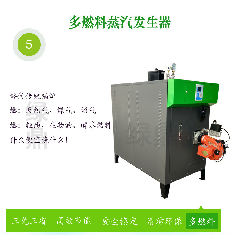 新款300kg燃油燃氣蒸汽發生器詳情頁（綠鼎能源2017）-