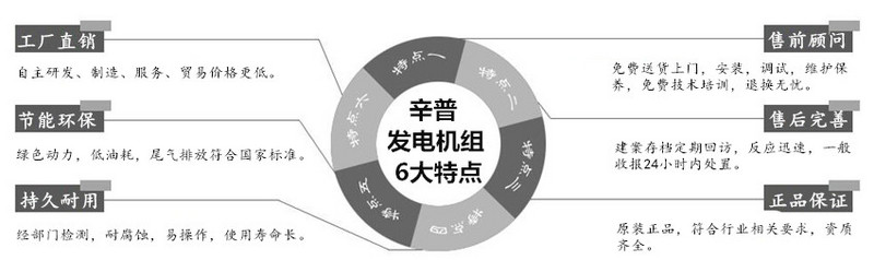 辛普發(fā)電機(jī)組6大特點(diǎn) 辛普發(fā)電機(jī)組6大特點(diǎn)
