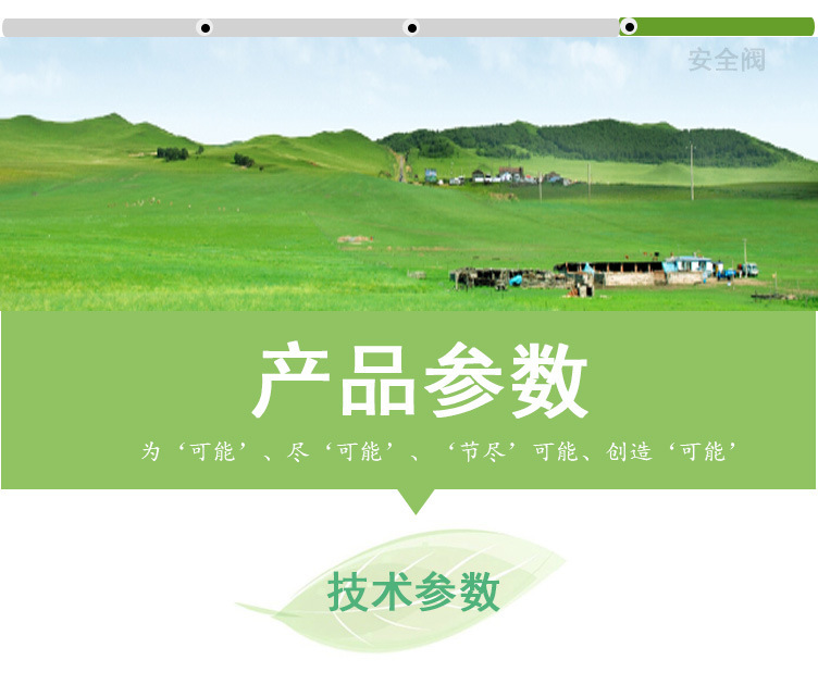 (綠)300kg燃油燃氣蒸汽發生器詳情頁（綠鼎能源）2017