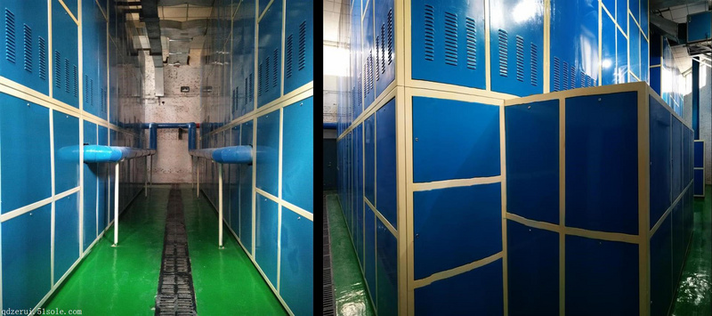 青島澤瑞節能電儲熱機組