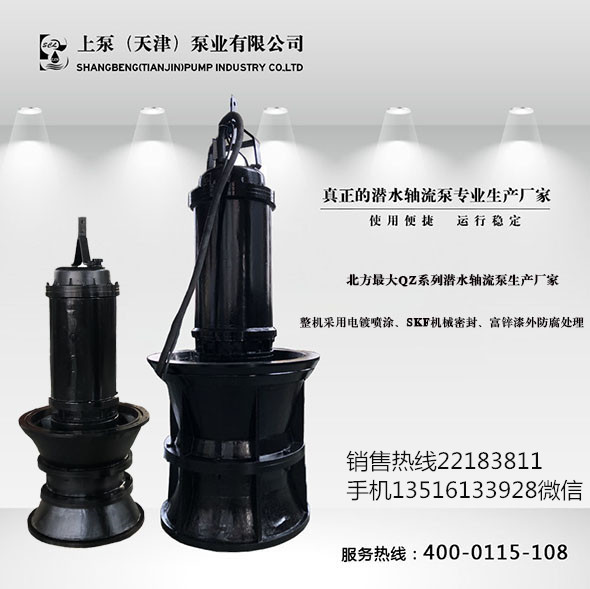 山西晉中葉片可調節式潛水軸流泵-上泵